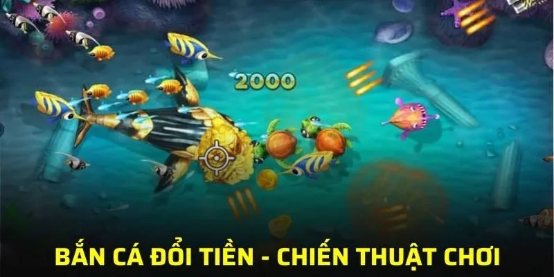 Những chiến lược tốt giúp người chơi tăng khả năng nhận tiền mặt