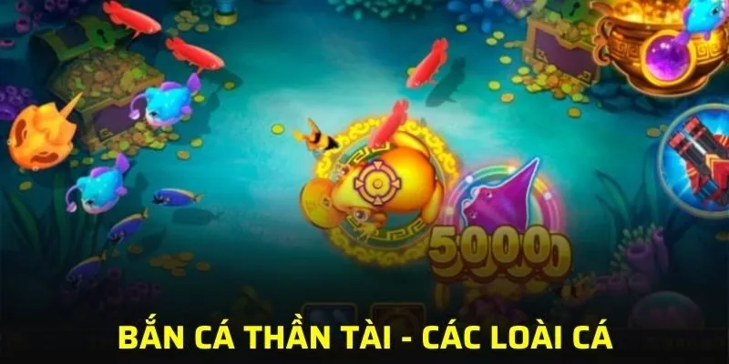 Những loài cá đa dạng hứa hẹn mức thưởng siêu khủng