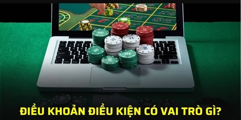 Điều khoản và điều kiện có vai trò cực quan trọng